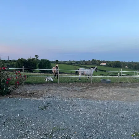A La Campagne, Piscine Classe Trois-etoiles N2 *