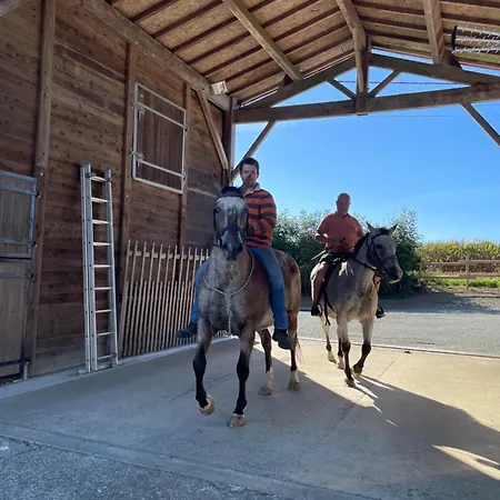 A La Campagne, Piscine Classe Trois-etoiles N2 *