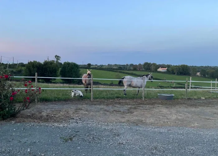 A La Campagne, Piscine Classe Trois-etoiles N2 *