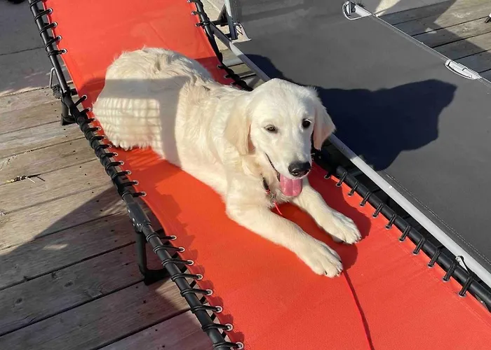 A La Campagne, Piscine Classe Trois-etoiles N2 Feriehus *