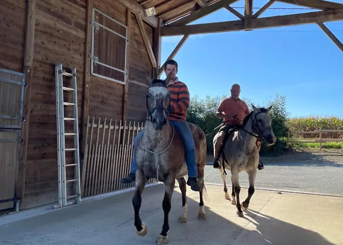 A La Campagne, Piscine Classe Trois-etoiles N2 *