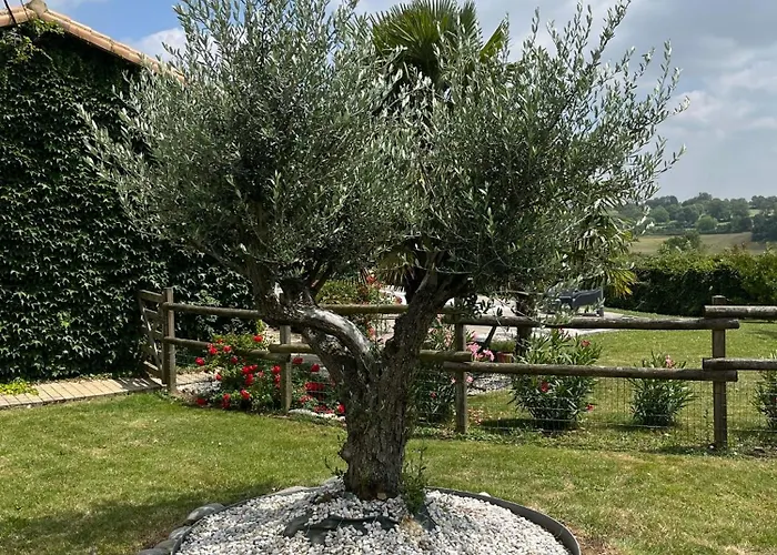 A La Campagne, Piscine Classe Trois-etoiles N2 Feriehus *